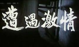 遭遇激情 圖6