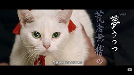 猫侍剧场版 图4