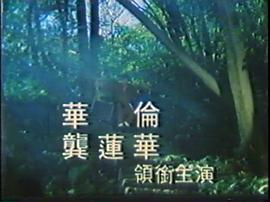 幽靈美人 圖4