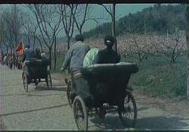 清水灣，淡水灣 圖9