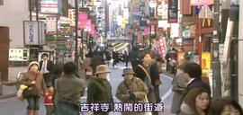 咕咕是一只貓 圖9