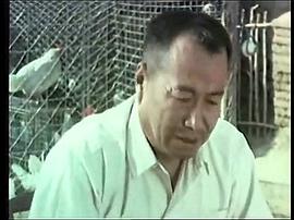 六斤縣長 圖1