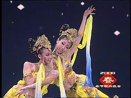 2008年中央電視臺(tái)春節(jié)聯(lián)歡晚會(huì) 圖6