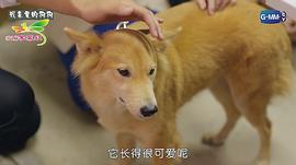 泰國青春校園劇 圖4