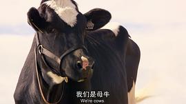 超級巴迪 圖4