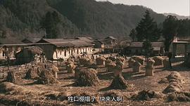 走著瞧 圖4