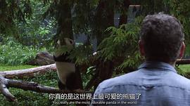 超萌動物 圖9