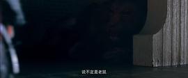 狂暴凶狮 图1