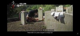 五月雪 圖5