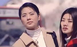 雪地里的星星 圖4