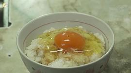 女版孤獨的美食家在線觀看 圖10