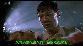 霹靂先鋒 圖7