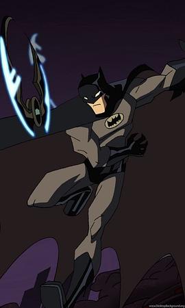 新蝙蝠侠 第五季 图1