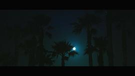 樂(lè)園之夜 圖7