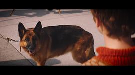 十大最感人的狗狗电影 图8