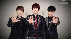 SJ：KRY2012冬季特別演唱會(huì) 圖10