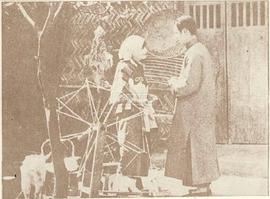 桃花泣血記 圖7