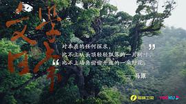 文學(xué)的日常 圖9