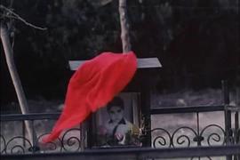 柳樹之歌 圖4