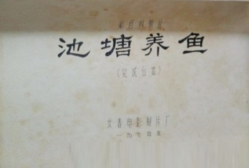 池塘養(yǎng)魚