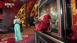 2013年中央電視臺(tái)元宵晚會(huì) 圖9