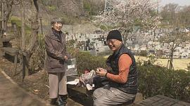 紀(jì)實(shí)72小時 樹木葬 櫻花樹下來見你 圖6