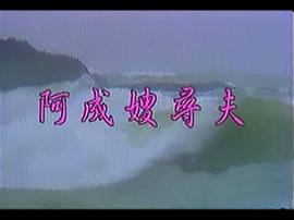 阿成嫂尋夫 圖3
