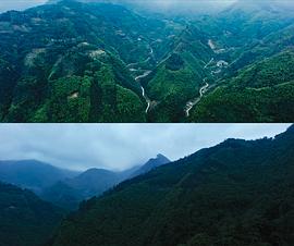 借命而生 图10