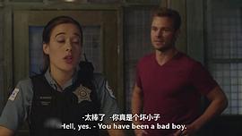 芝加哥警署 第二季 圖2