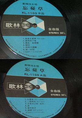 忘憂草 圖8