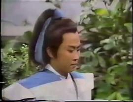 流星蝴蝶劍 圖3