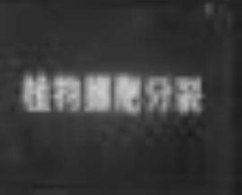 植物細(xì)胞分裂 圖2