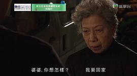 陀枪师姐3国语免费观看 图3