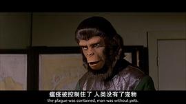 人猿星球3逃离猩球电影 图4