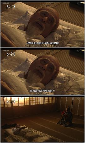 葵 德川三代 圖8