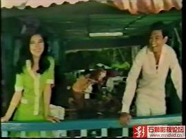 胡姬花 圖7