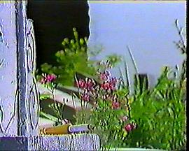 霍桑探案 圖10