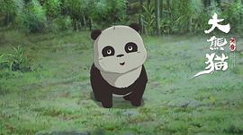 动画片大熊猫传奇 图6