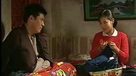 當(dāng)家的女人 圖2