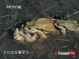 走近科學 圖6