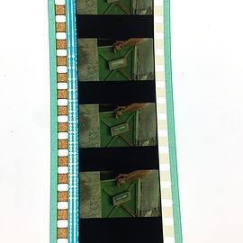 伍德斯托克音樂節(jié)1999 圖6