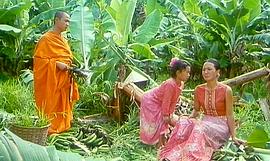 小象西娜 圖2