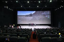 年年岁岁年年 剧情介绍 图4
