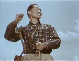 草原雄鷹 圖2