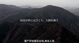 御姐玫瑰 圖2