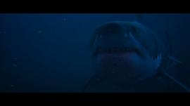 巨齿鲨第3部 图4