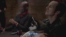 真愛(ài)如血  第五季 圖5