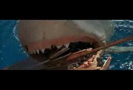 大白鲨在线观看完整版电影 图8