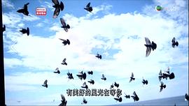 女人多自在5 圖7