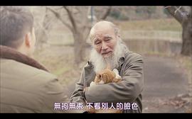 假如我捡到一只流浪猫 图3